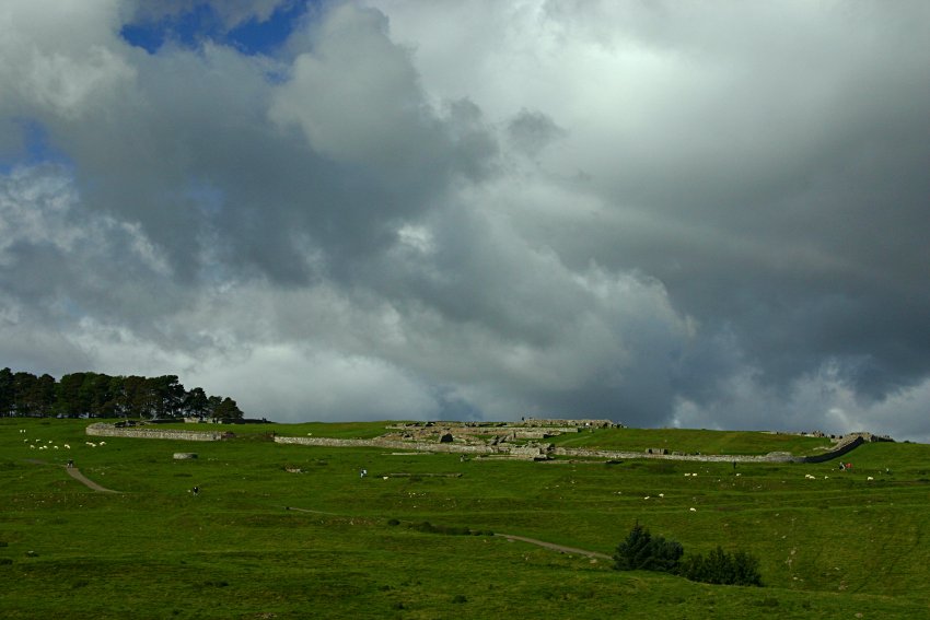 Housesteads from the south.