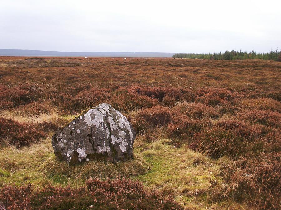 The northernmost stone, looking southwest.