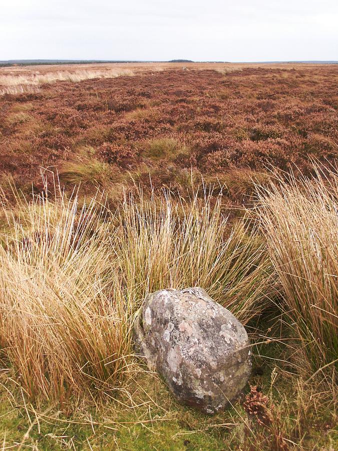 The northernmost stone can just be seen in the distance towards the 'mound' of trees on the centre horizon.
