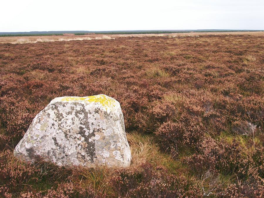 Looking north.  The northernmost stone can just be seen in the distance behind and to the right.