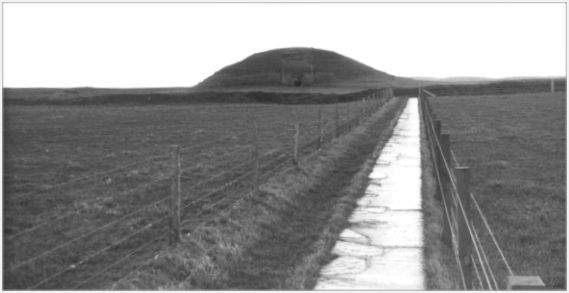  Looking north-east towards then entrance of Maeshowe