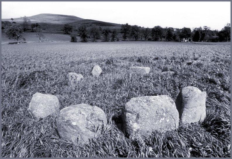 Looking east across the circle.  The three larger stones nearest the camera have been likened to the recumbent and flankers of recumbent stone circles.