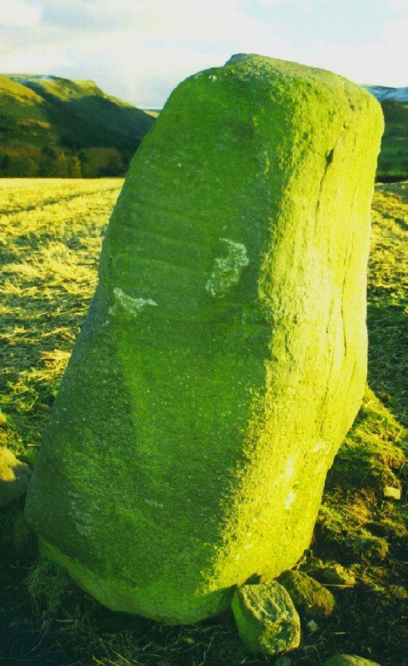 The eastern stone: the east face of the stone (in shadow here) has the Pictish carving.
