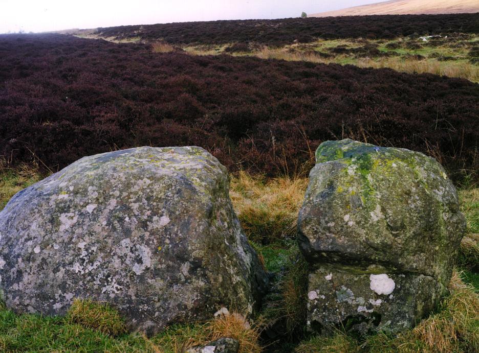 The fourth stone in colour.  Again, looking towards the Wallace stone on the horizon.