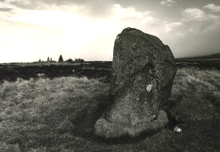 The Wallace stone, looking northeast.