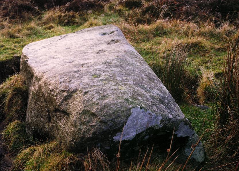 A view of the southernmost stone showing some of the cup marks in the upper surface.