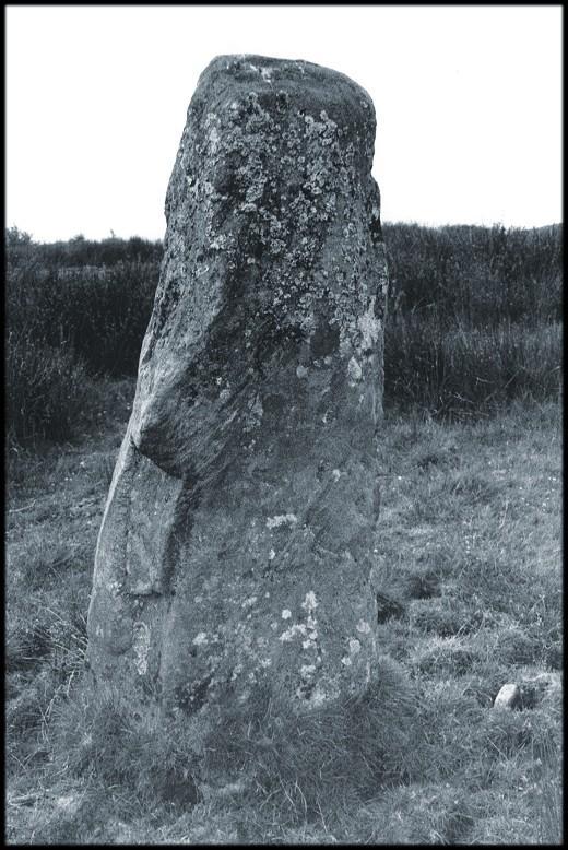 The single stone, looking northeast.