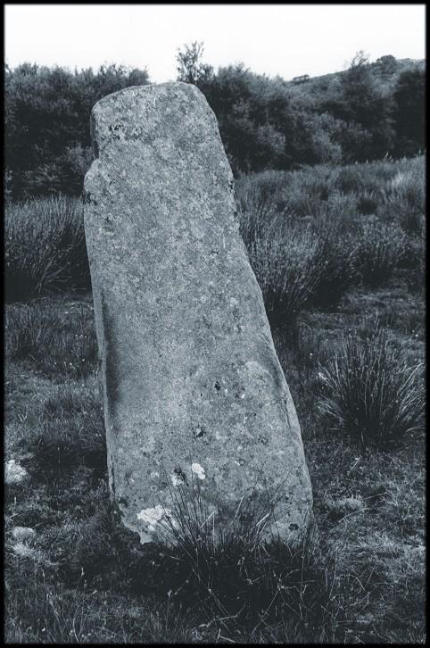The single stone, looking southwest.