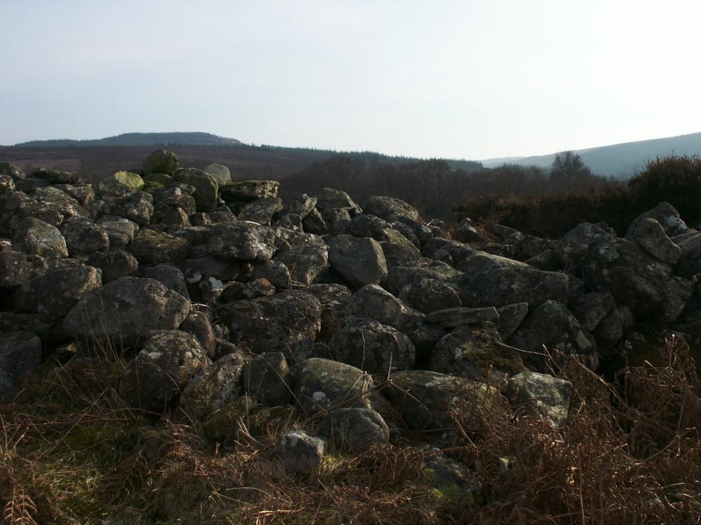 The west end of the cairn, looking south.