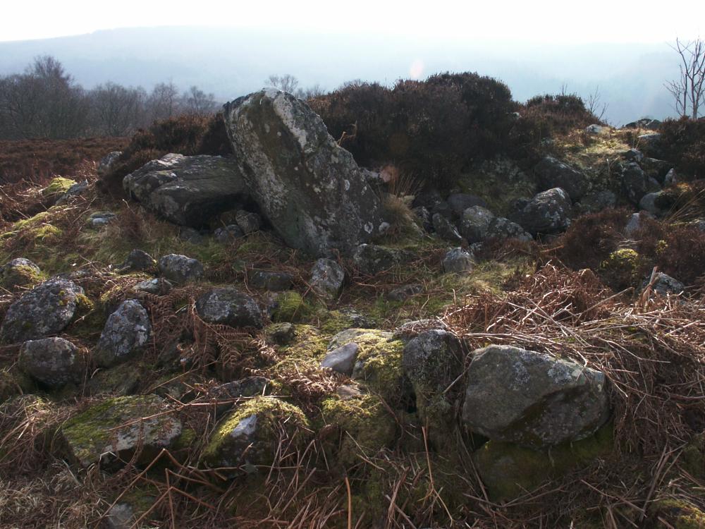 The east end of the cairn, looking west, with portal stones and a possible forecourt.