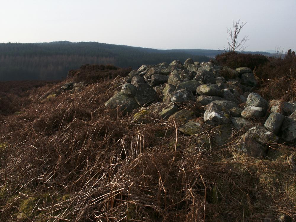 The centre of the cairn, looking southeast.