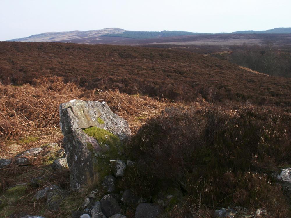 The northerly portal stone, looking southeast.