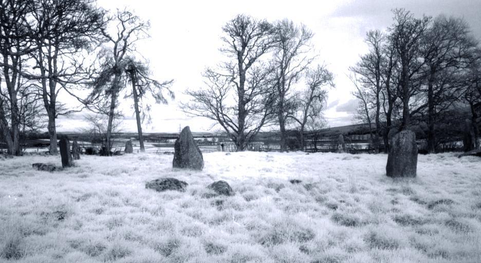 Looking southeast across the circle.  The recumbent stone is at the right hand edge of the picture