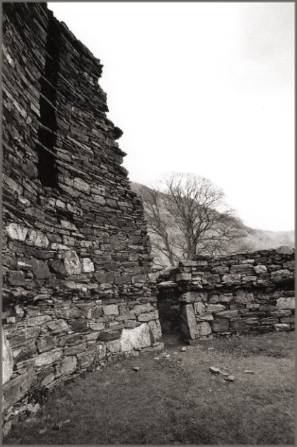 The courtyard. The break in the wall is the entrance to the wall space, not the entrance to the broch (which is off the picture to the left)