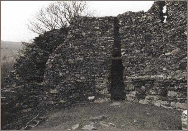  The inner wall and courtyard. The entrance to the broch is at the bottom of the steps in the lower-left corner