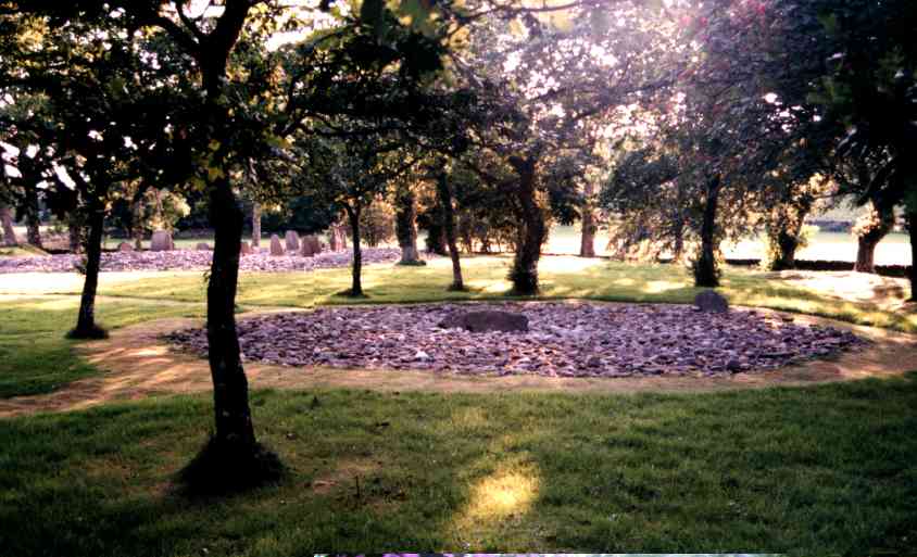  The site of the second circle near Temple Wood. Temple wood is in the background