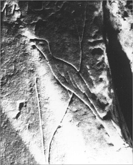 A bird is carved on the lintel of the side cell.