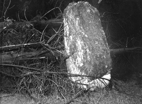 The smaller of the megaliths at Waterhead - about five feet tall.