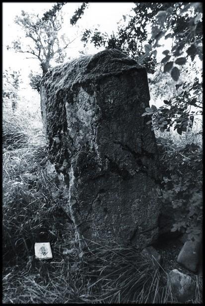 The western stone.  The arrow indicates north to the bottom of the picture.  This is the narrow edge - the wide face is five feet across.